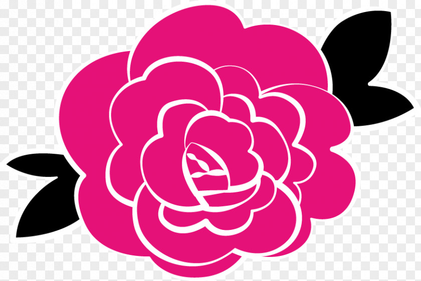 Camellia Vector Party Hat Pink Clip Art PNG