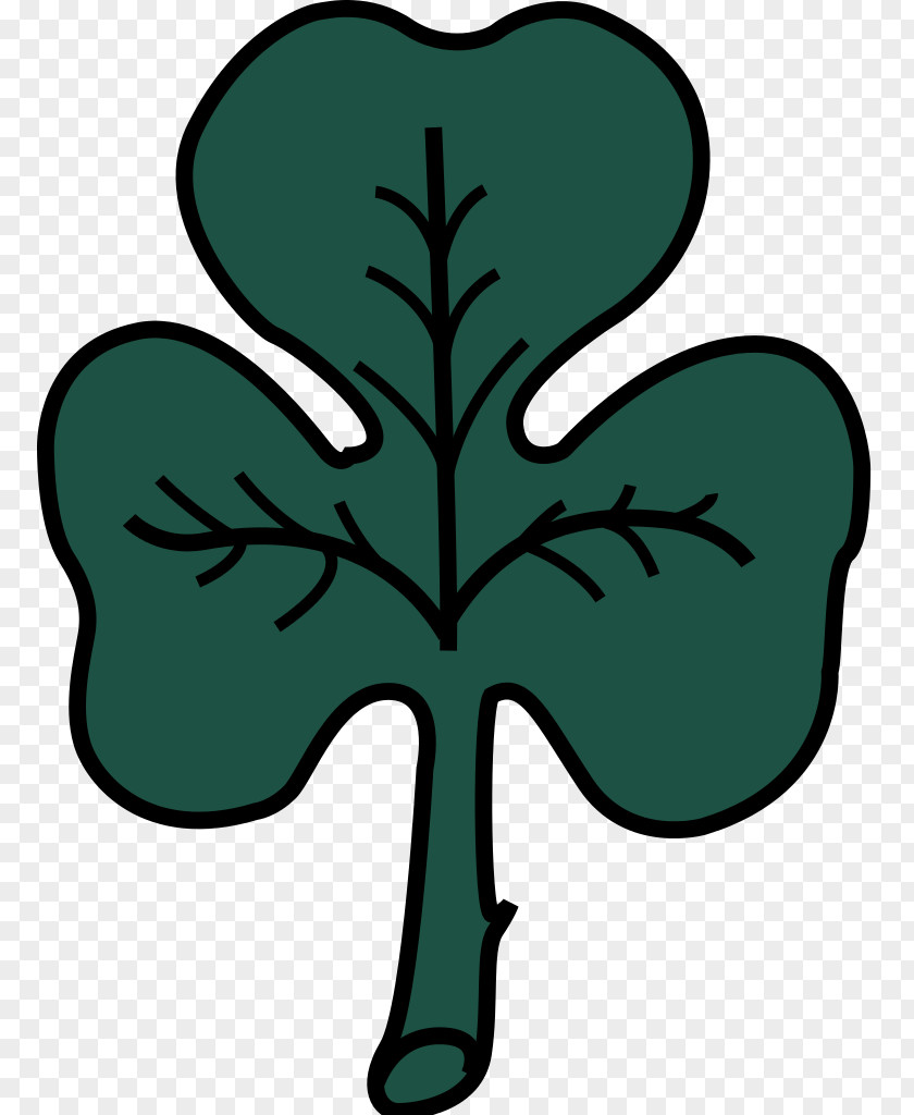 Celtic Clover Patterns Shamrock Clip Art Flag Of Montreal Four-leaf PNG