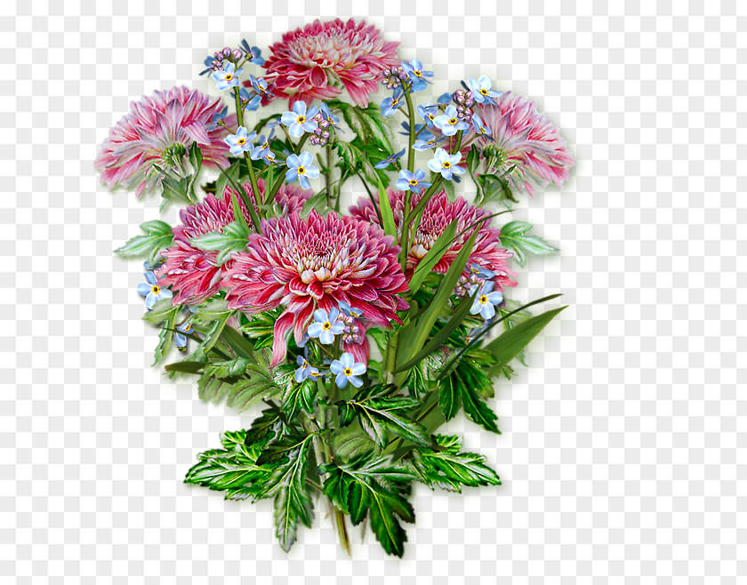 Flower Bouquet Floral Design Cut Flowers PNG