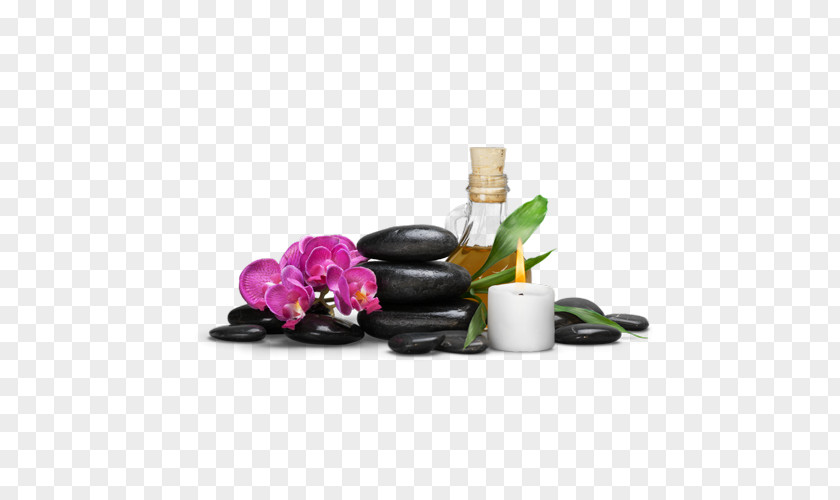 Perfume Massage Wax Physical Therapy Therapiezentrum Im Kamp PNG