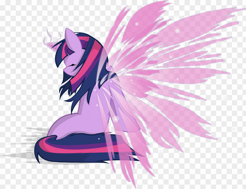 Sparkle Twilight My Little Pony Winged Unicorn Rainbow Dash PNG