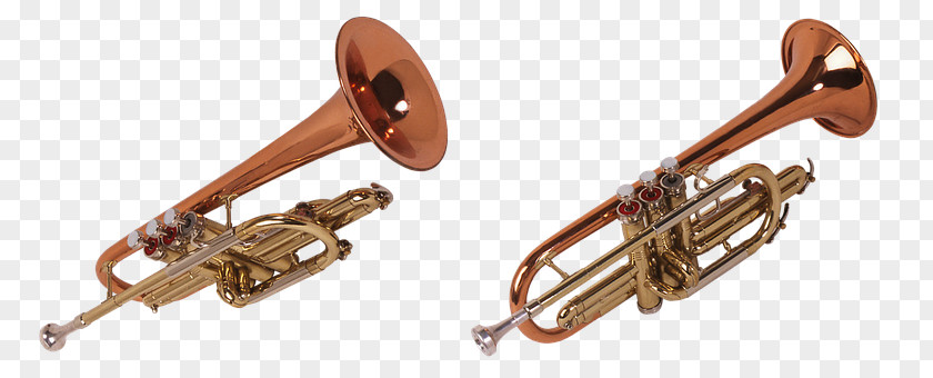 Wind Instrument Musical Instruments Trumpet Trombone PNG