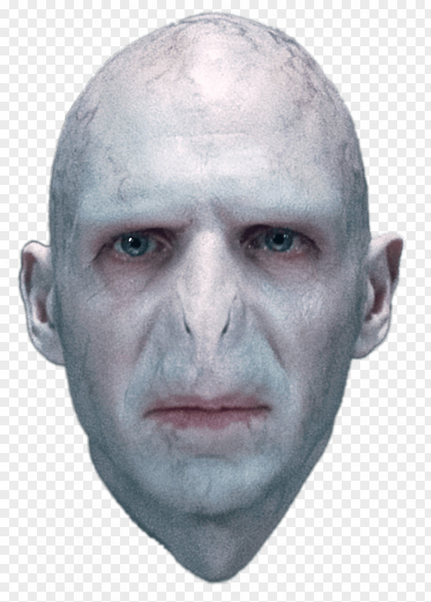 Actor Lord Voldemort Ralph Fiennes Harry Potter (Literary Series) Professor Albus Dumbledore PNG