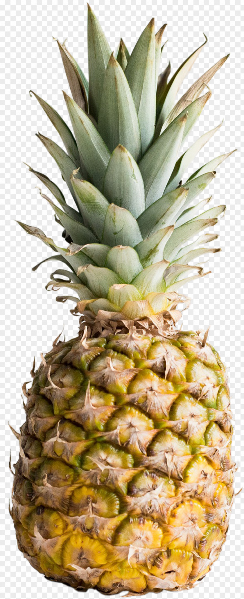 Ananas Exotic Fruit Pineapple Smoothie Food Whole Grain PNG