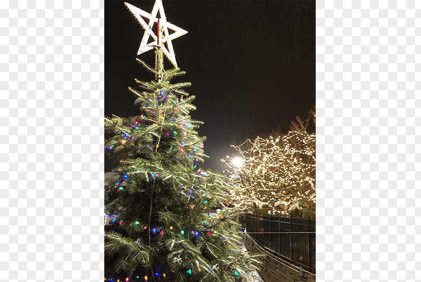 Christmas Tree Newport Skating Center Ornament Waterfront Drive Lights PNG