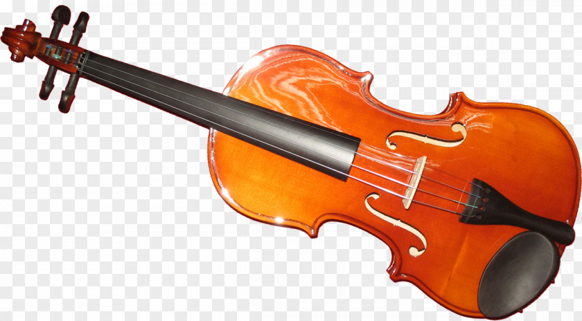 Electro Dj Violin Family Double Bass Musical Instruments Viola PNG