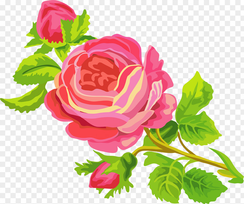 Hand Painted Still Life: Pink Roses Clip Art PNG