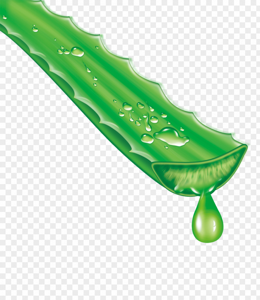 Aloe Herbal Vera Aloin Extract Gel PNG