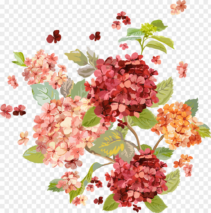 Flower Floral Design Illustration Image PNG