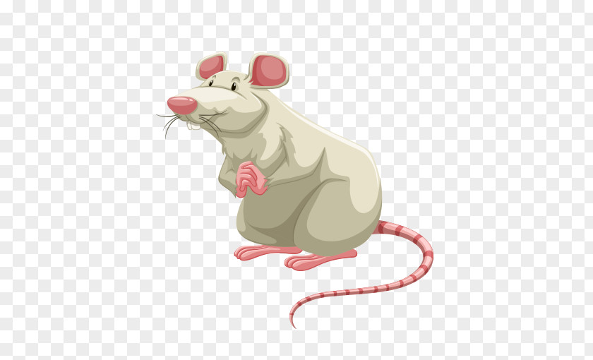 Mouse Rat Clip Art PNG