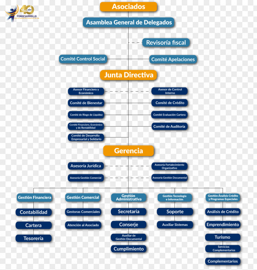 School Season Organizational Chart Empresa Micro-enterprise Correo Corporativo PNG