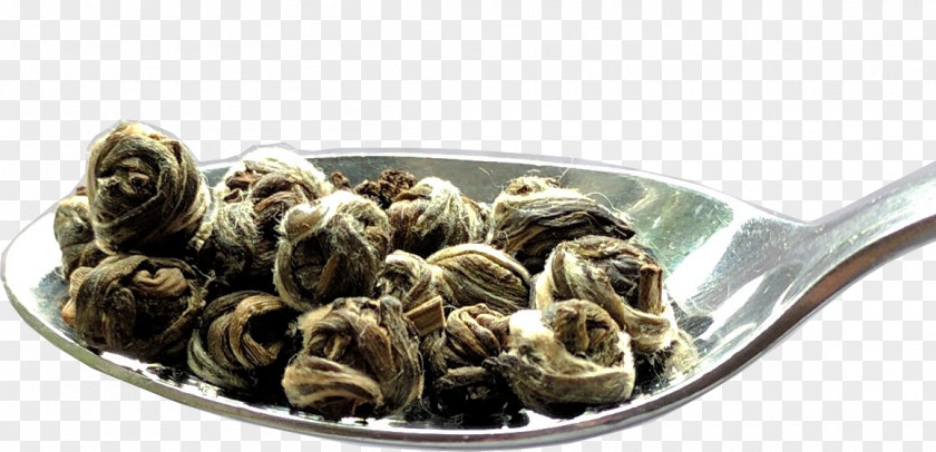 Tea Oolong Pu'er Jasmine Escargot PNG