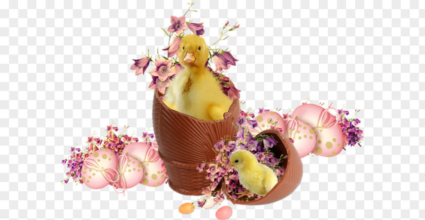 Easter Bunny Todcom Egg Holiday PNG