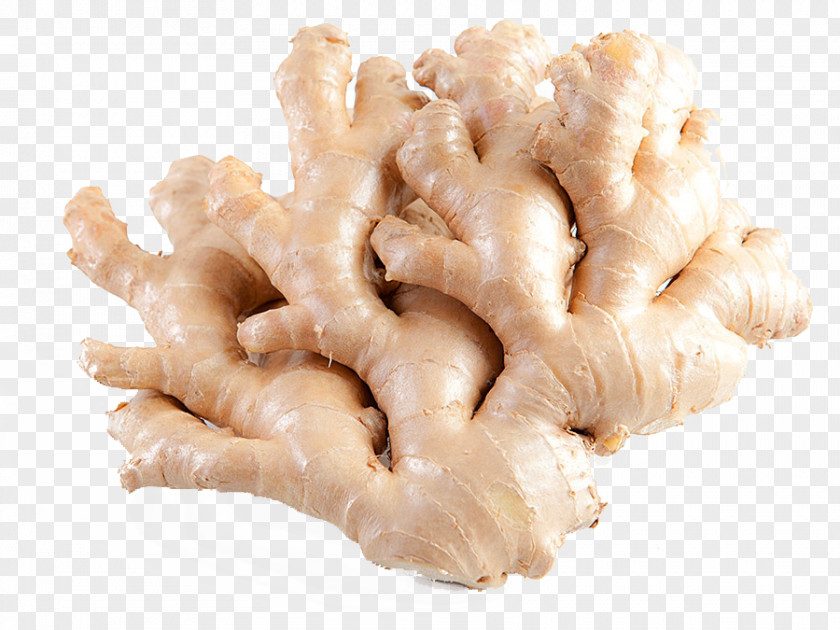 Health Organic Food Dieting Ginger PNG