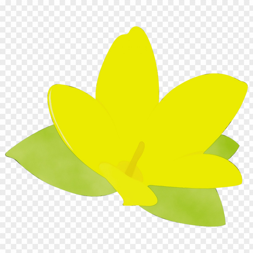 Wood Sorrel Family Symbol Green Yellow Leaf Wheel Plant PNG