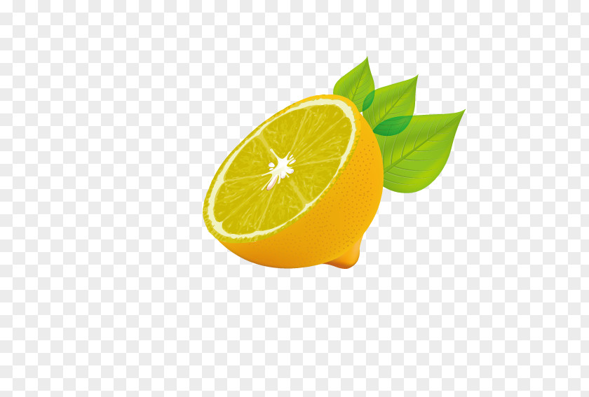 Attractive Lemon Auglis PNG