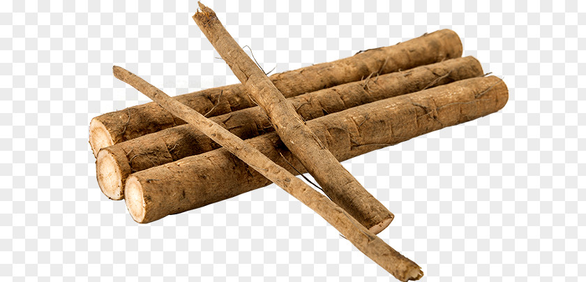 Burdock Root Greater Vegetable Tea Food Plants PNG