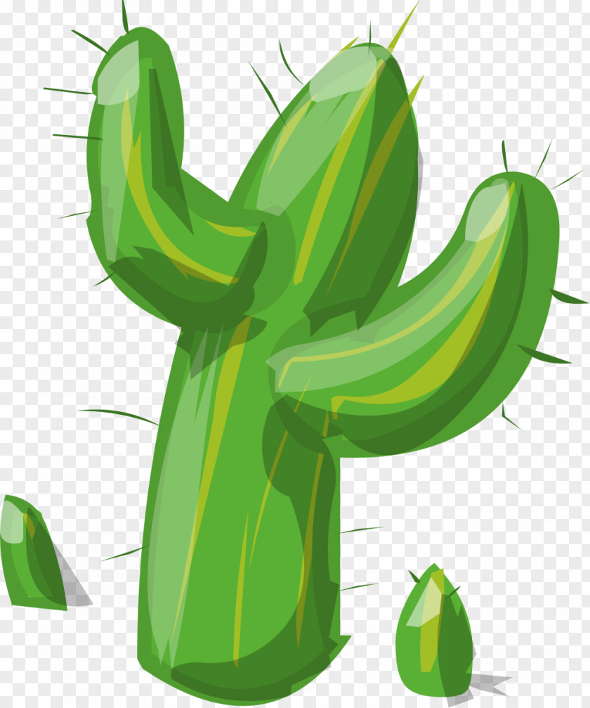 Cactus Cactaceae Clip Art PNG