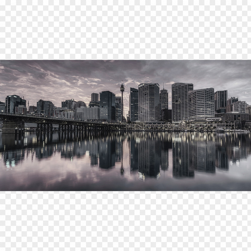 Cityscape Black And White Port Jackson Darling Harbour Landscape Photography PNG