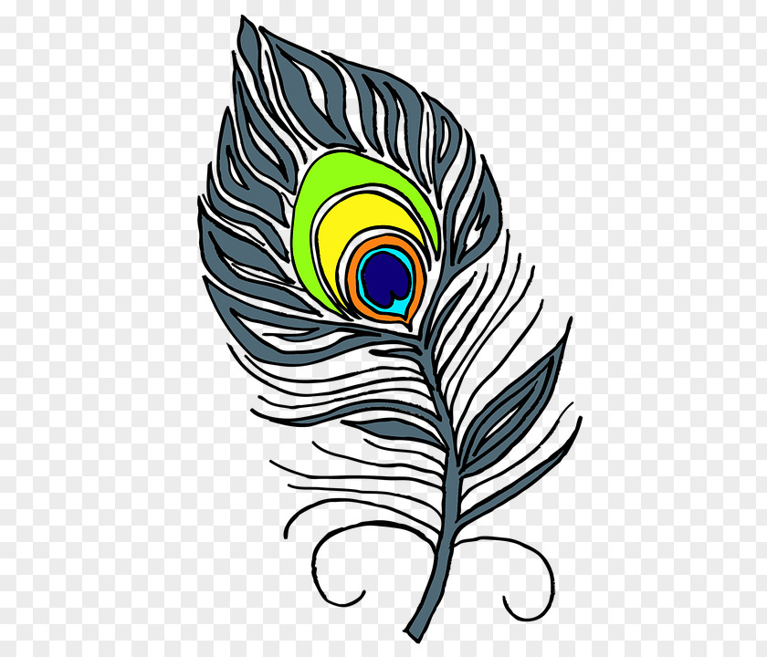 Feather Bird Peafowl Clip Art PNG