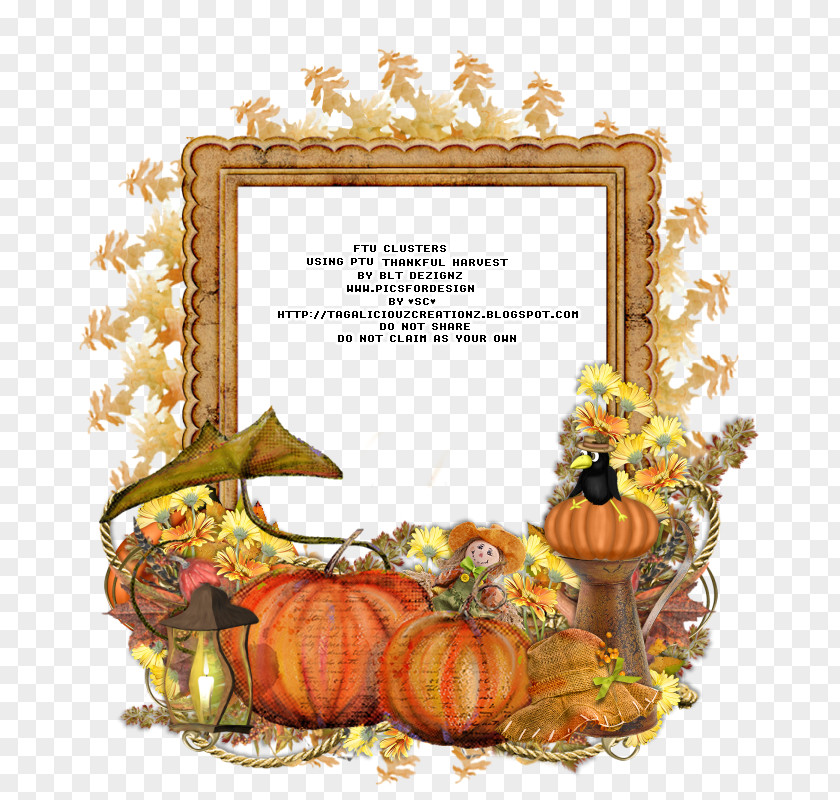 Harvest Thanksgiving Pumpkin Picture Frames Flower PNG