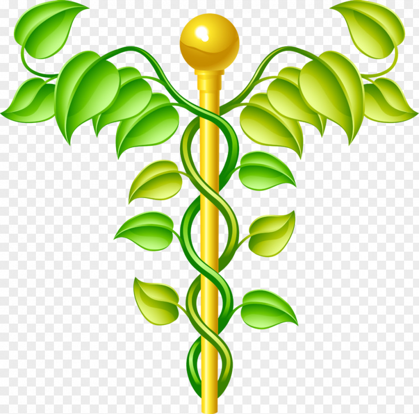 Health Alternative Services Medicine Therapy Professional PNG