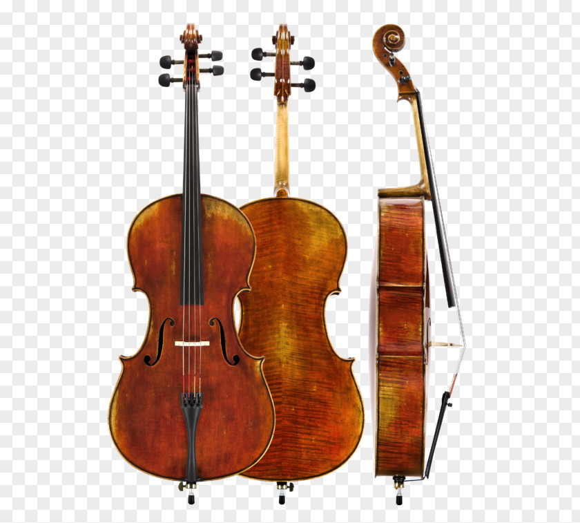 Musical Instruments Cello Double Bass String Amati PNG