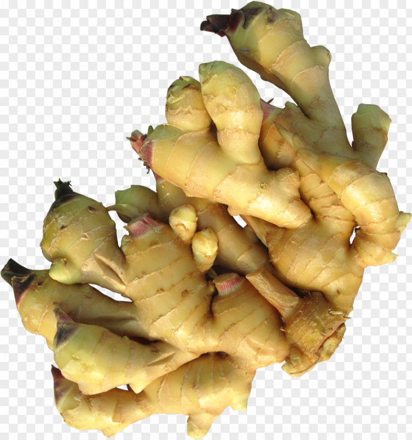 Vegetables Ginger Root Spice Condiment PNG