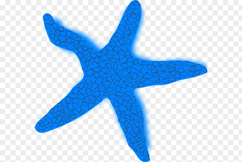 Blue Starfish Cliparts Brittle Star Clip Art PNG