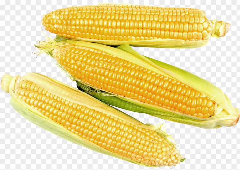 Corn On The Cob Maize Sweet Kernel PNG