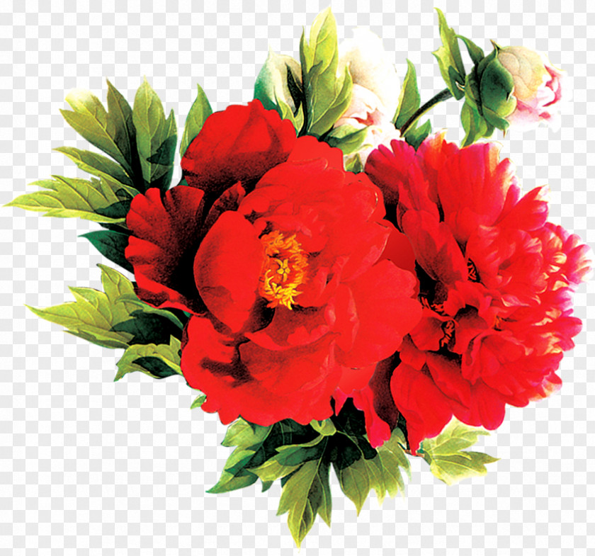 Flower Floral Design Cut Flowers Carnation Bouquet PNG