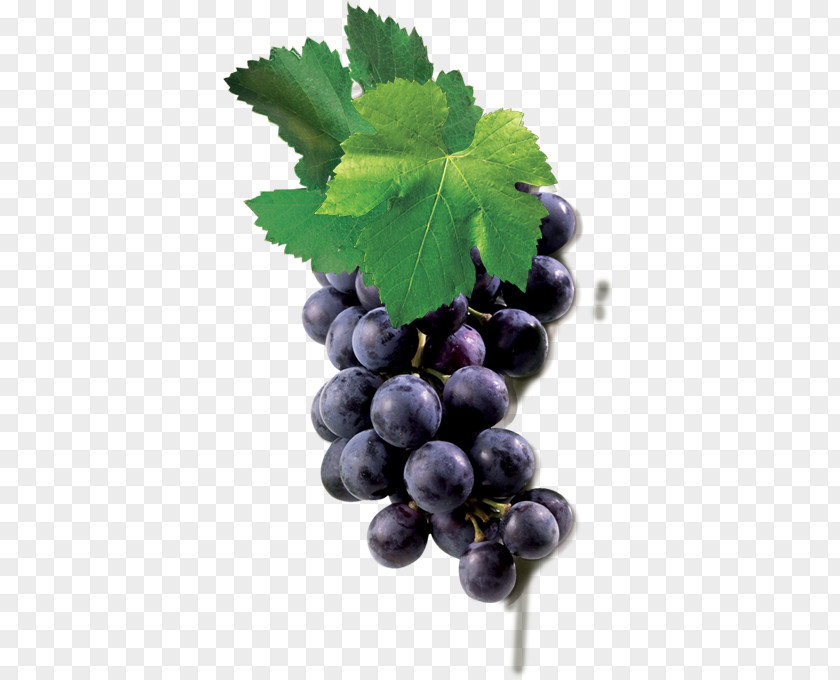 Grape Blueberry Tea Zante Currant Seedless Fruit PNG