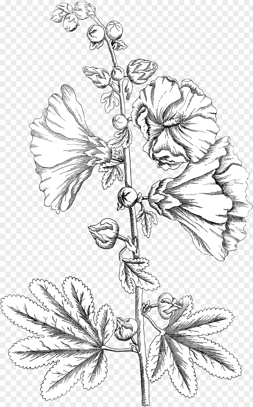 Hollyhock Floral Design Twig Leaf PNG