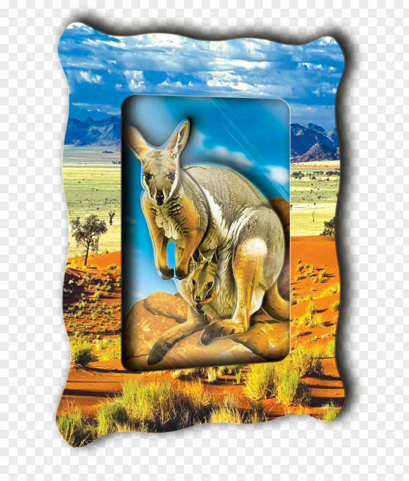 Kangaroo Picture Frames Scrapbooking Origami Annunciation Bridge PNG