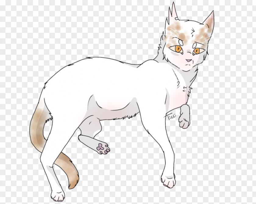 Kitten Whiskers Cat Line Art Dog PNG