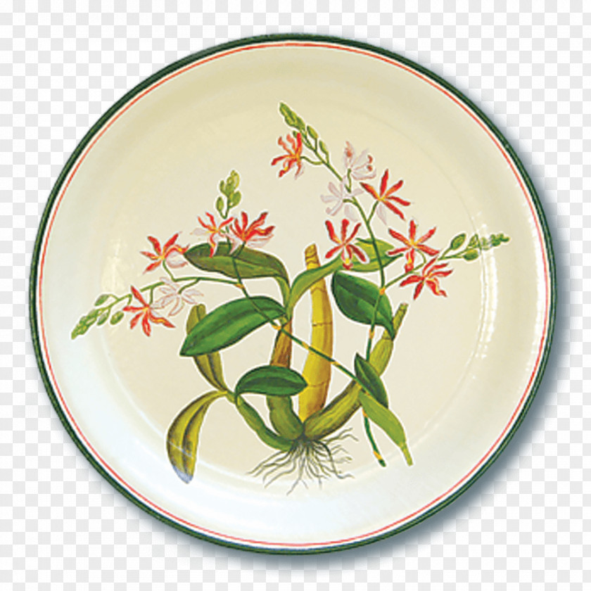 Lady's Slipper Orchids Plate Platter Flowerpot Tableware PNG