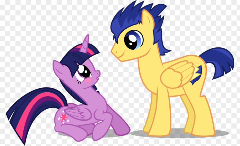 My Little Pony Twilight Sparkle Flash Sentry Sunset Shimmer Pinkie Pie PNG