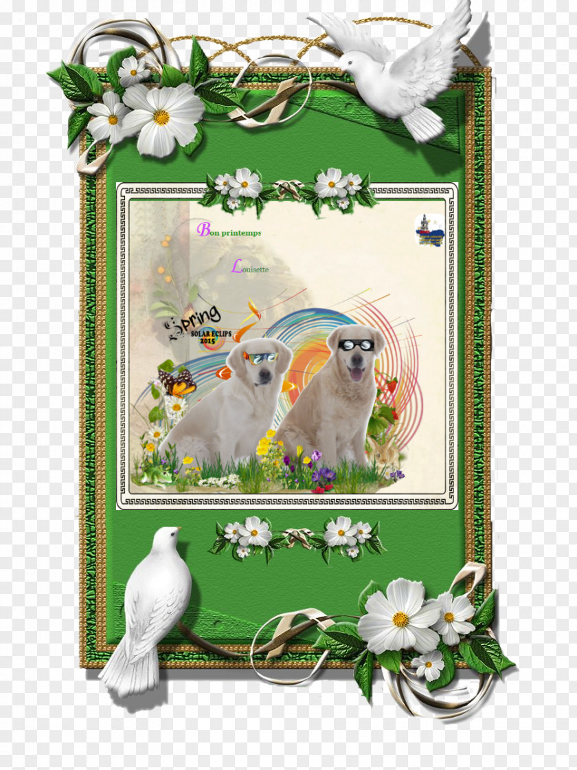 Spring Equinox Fauna Green Picture Frames The Arts PNG