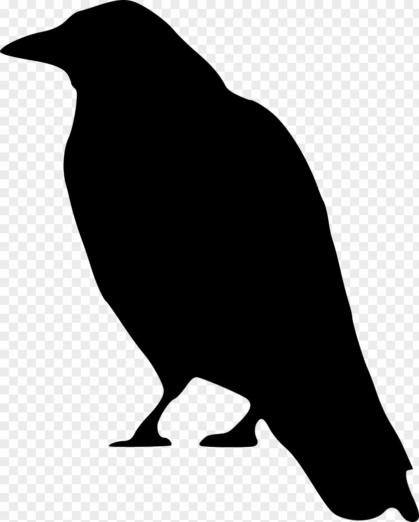 VAPOR Crows Clip Art PNG