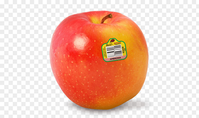 Apple Organic Food Ambrosia Crisp PNG
