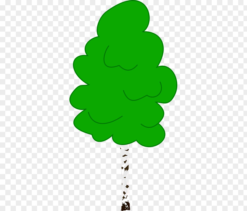 Birch Clip Art PNG