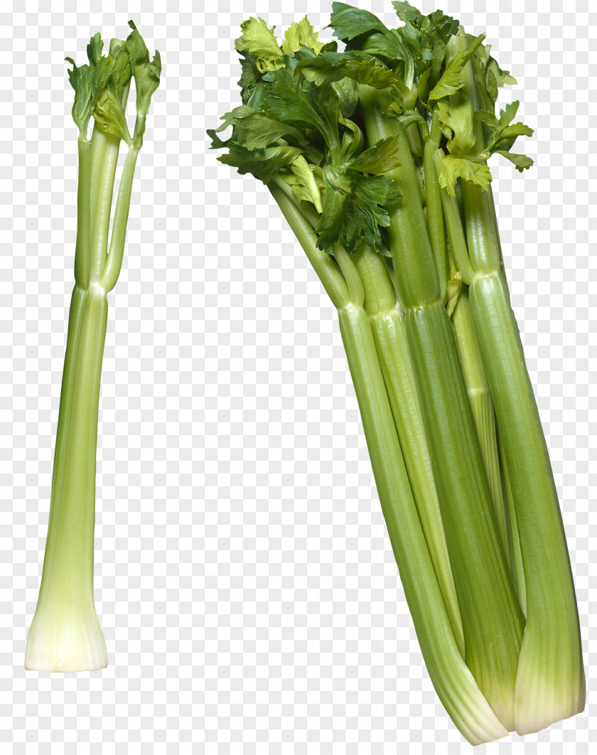 Celery Raw Foodism Vegetable Celeriac Clip Art PNG