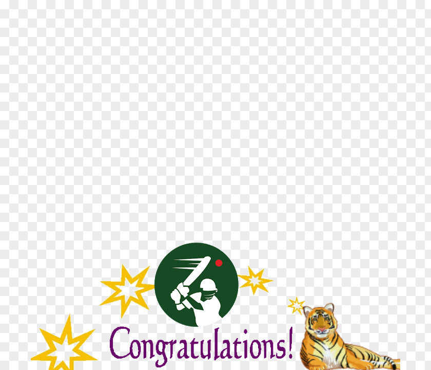 Congratulations United States Star Clip Art PNG