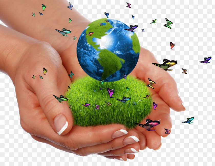 Earth World Sustainability Natural Environment Green PNG