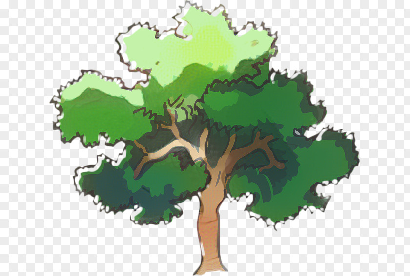 Forest Oak Tree Leaf PNG