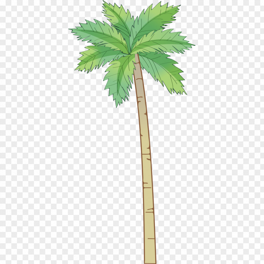 Hand-painted Coconut Tree Pattern Arecaceae PNG