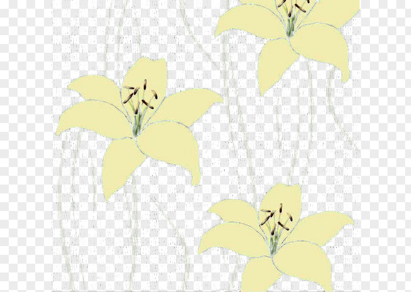 Pale Yellow Lily Floral Design Insect Cut Flowers Pattern PNG