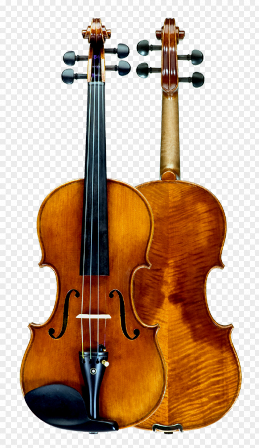 Violin Baroque Double Bass String Instruments Cello PNG