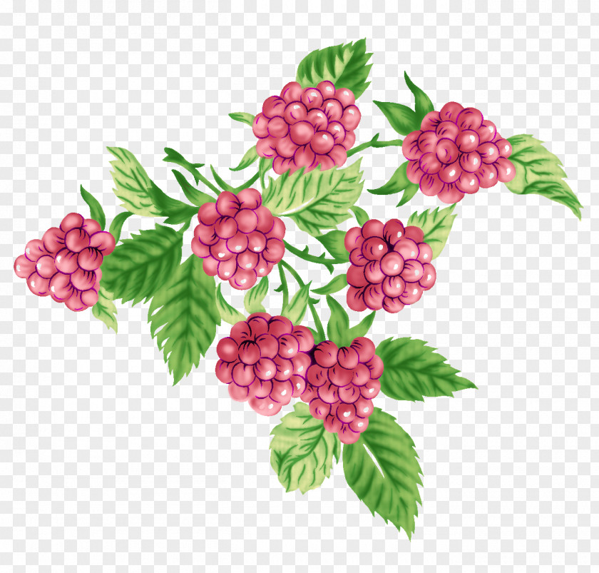 Cranberry Leaves Fruit Gift Image PNG