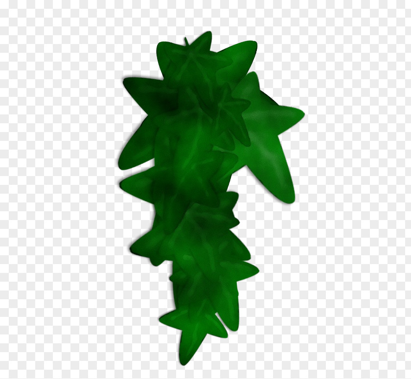 Plane Ivy Green Leaf Watercolor PNG